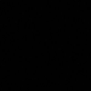 Meet your Posher, Nevaeh